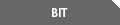 BIT