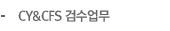 CY&CFS 검수업무