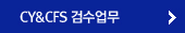 CY&CFS 검수업무
