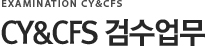 CY&CFS 검수업무